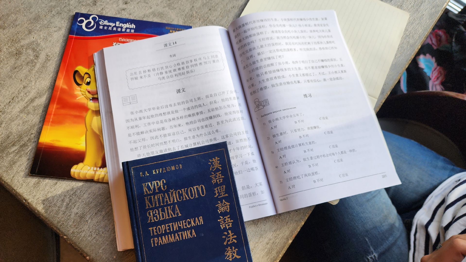 Солнечногорск, образование, китайский язык, школы, педагогика,