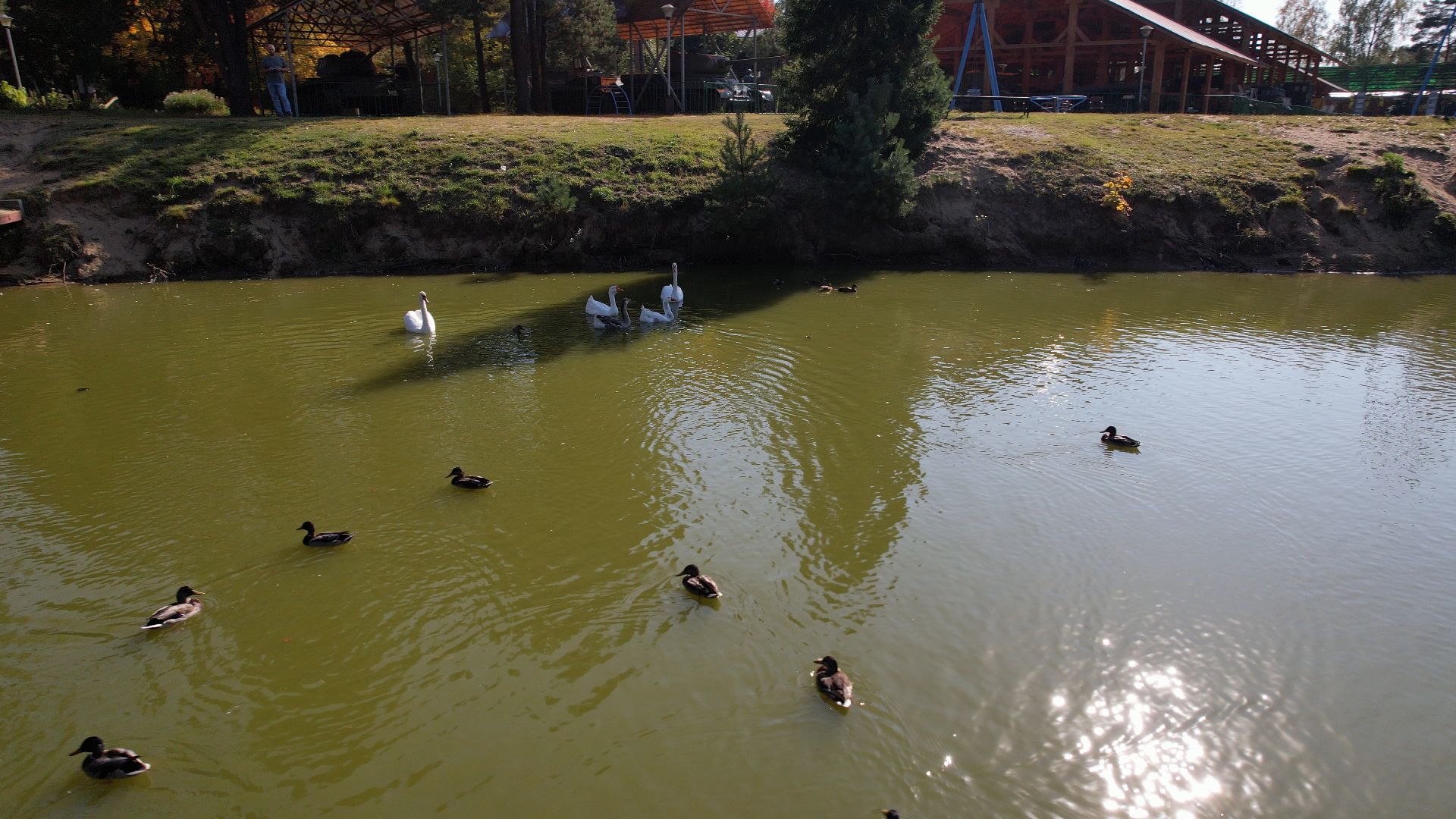 ивановское, черноголовка, летающая тарелка,видео с коптера,