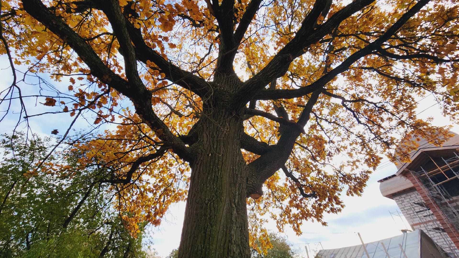 домодедово, подмосковье, туризм, туризм в подмосковье, история улицы, аудиогид, старейшая улица, экскурсия, эксклюзив, Келлровское шоссе, Домодедовская волость,
