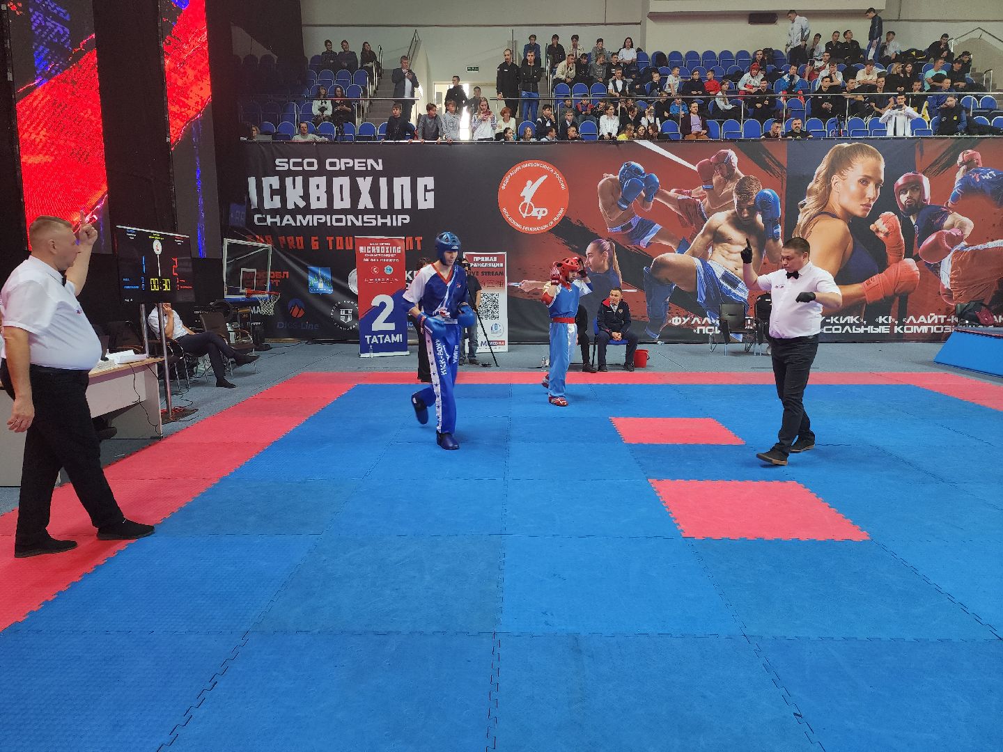 раменское, спорт, международный чемпионат по кикбоксингу,