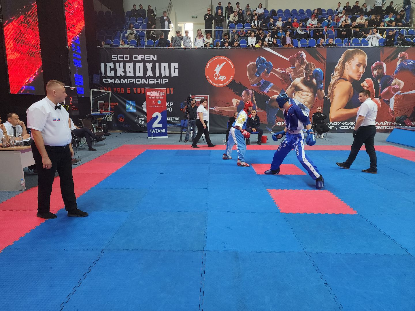 раменское, спорт, международный чемпионат по кикбоксингу,