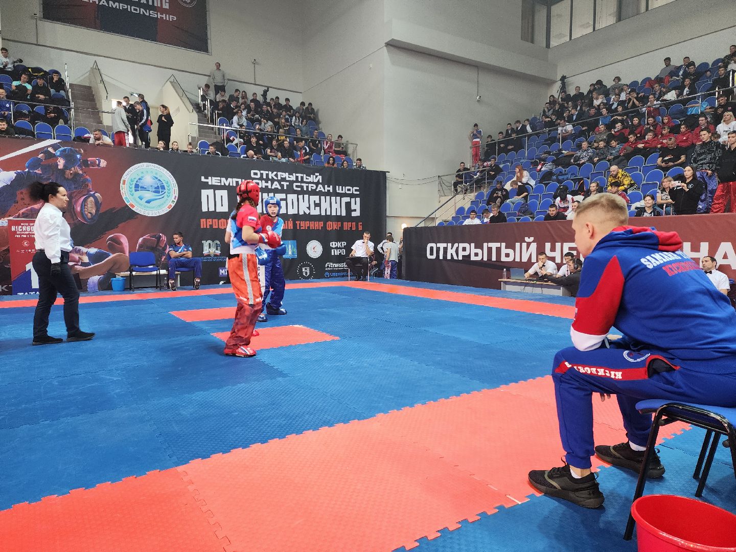 раменское, спорт, международный чемпионат по кикбоксингу,