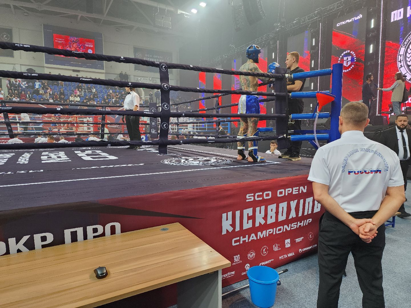 раменское, спорт, международный чемпионат по кикбоксингу,