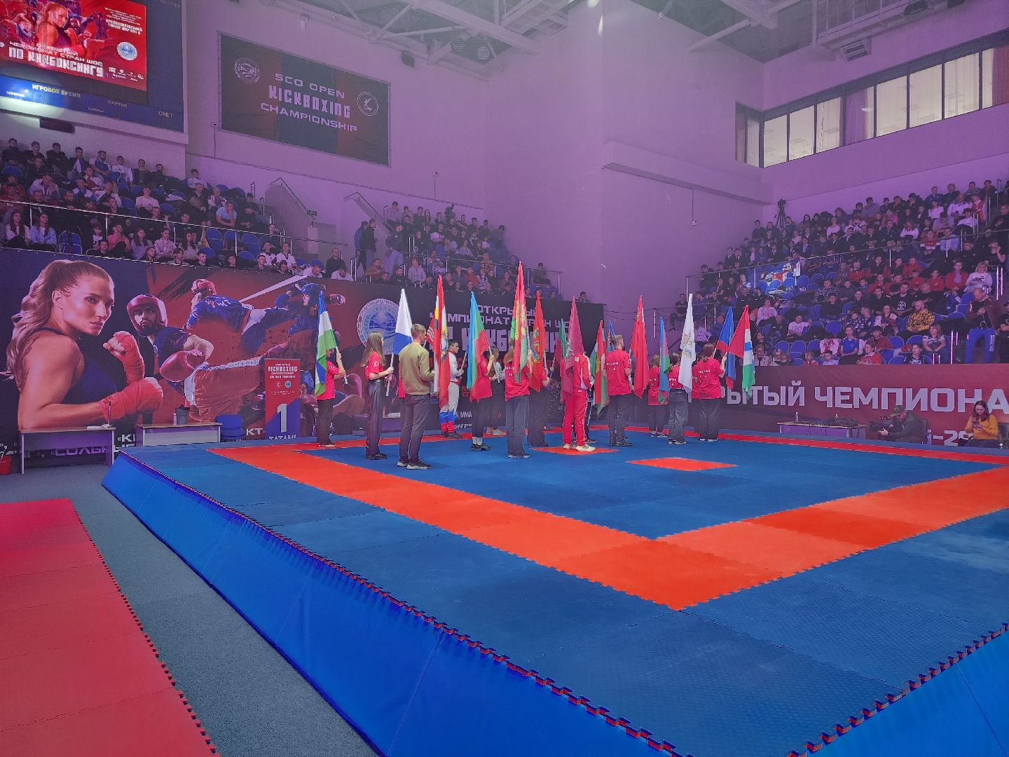 раменское, спорт, международный чемпионат по кикбоксингу,