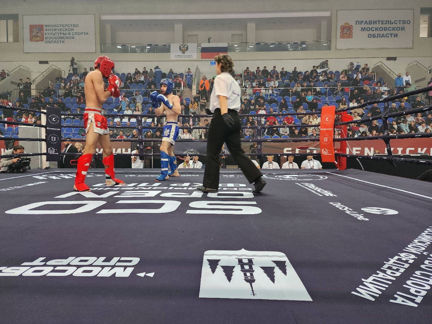 раменское, спорт, международный чемпионат по кикбоксингу,