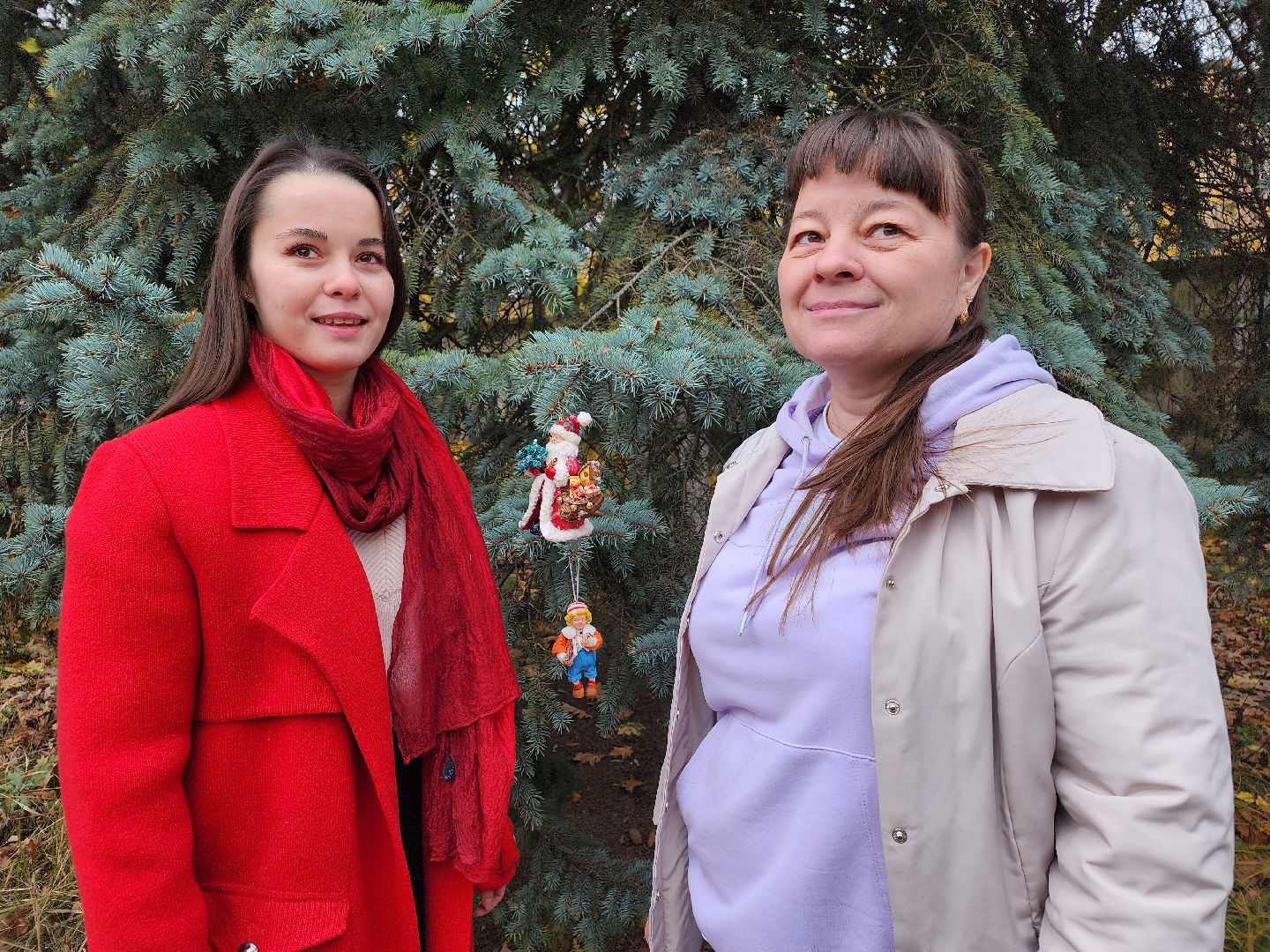 Дедовск, Игрушки, Украшения, Новый год,