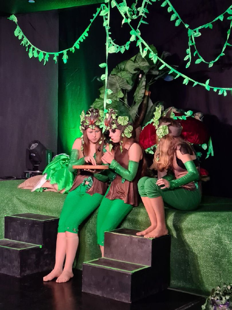 ступино, культура, Оживающие книги,