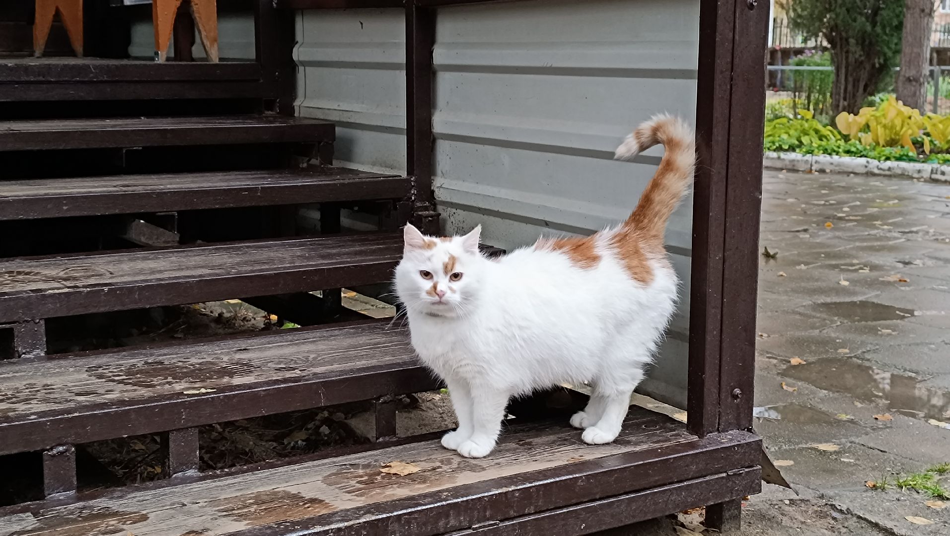 лобня, строительство, храм,