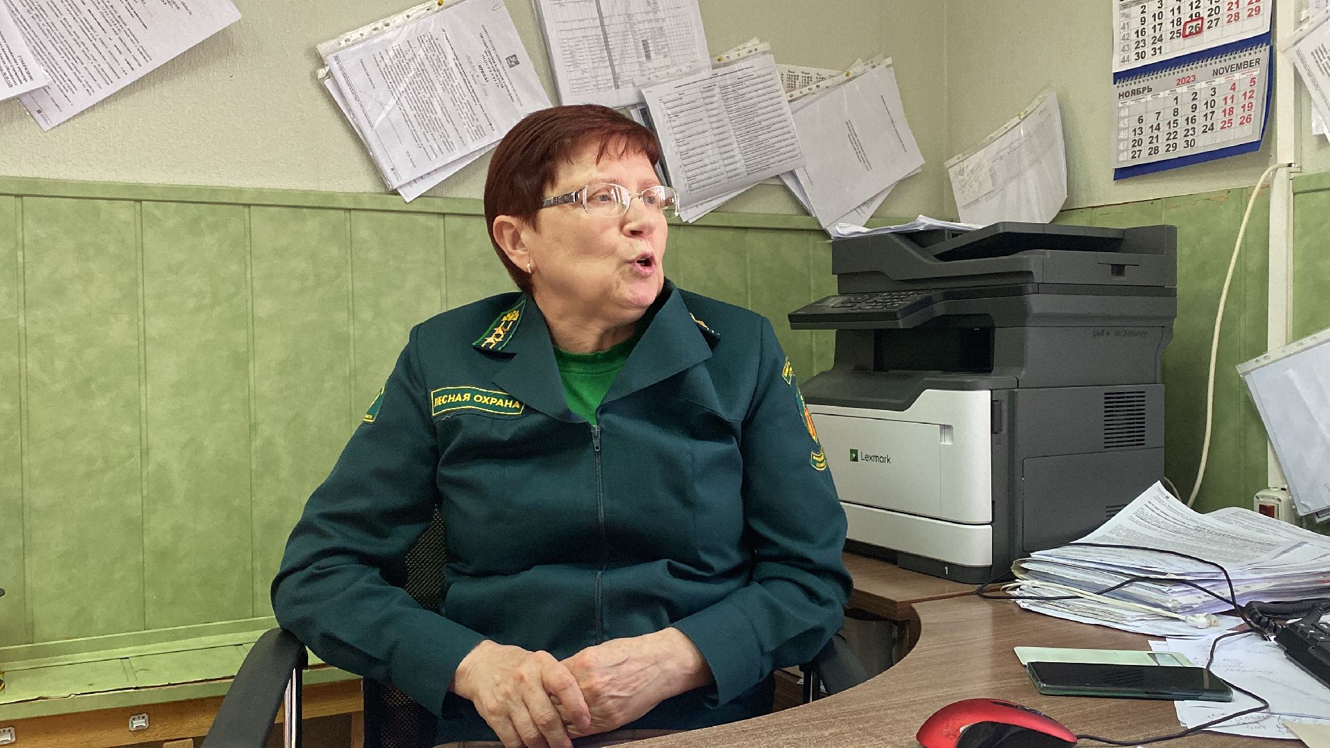 волоколамск, лес, лесничий, люди, лесные маршруты, инструкция,