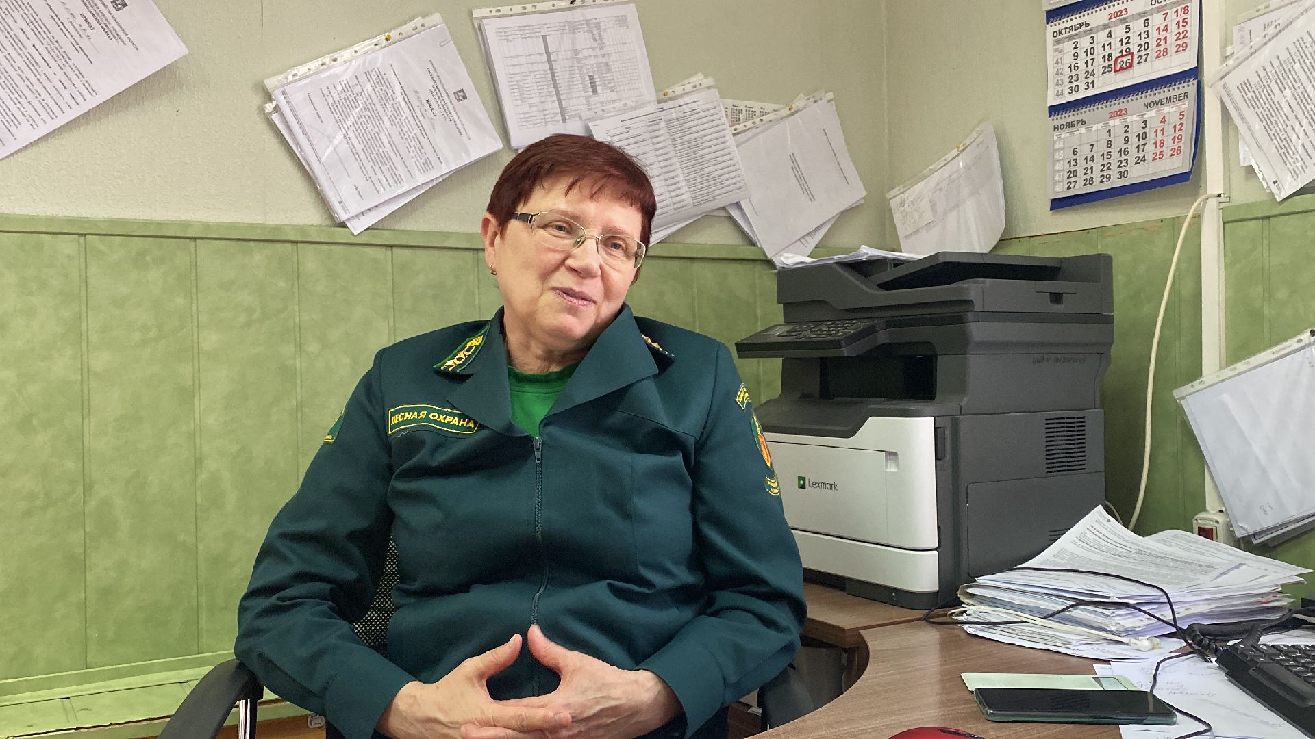 волоколамск, лес, лесничий, люди, лесные маршруты, инструкция,