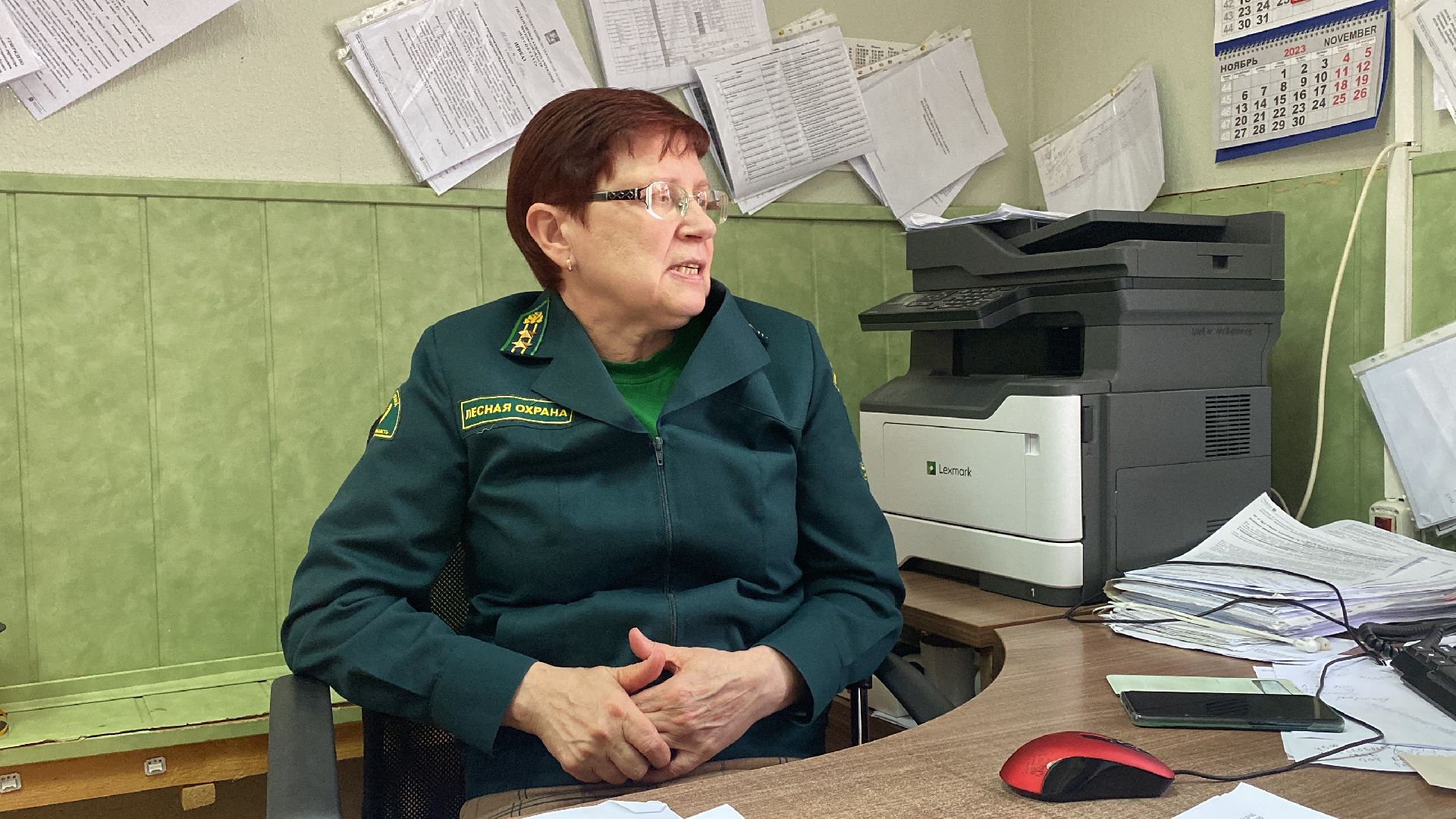 волоколамск, лес, лесничий, люди, лесные маршруты, инструкция,