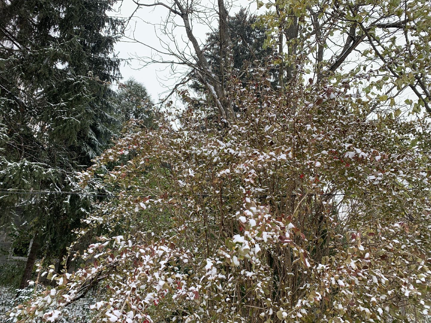 Балашиха, Подмосковье, ЖКХ, Первый снег,