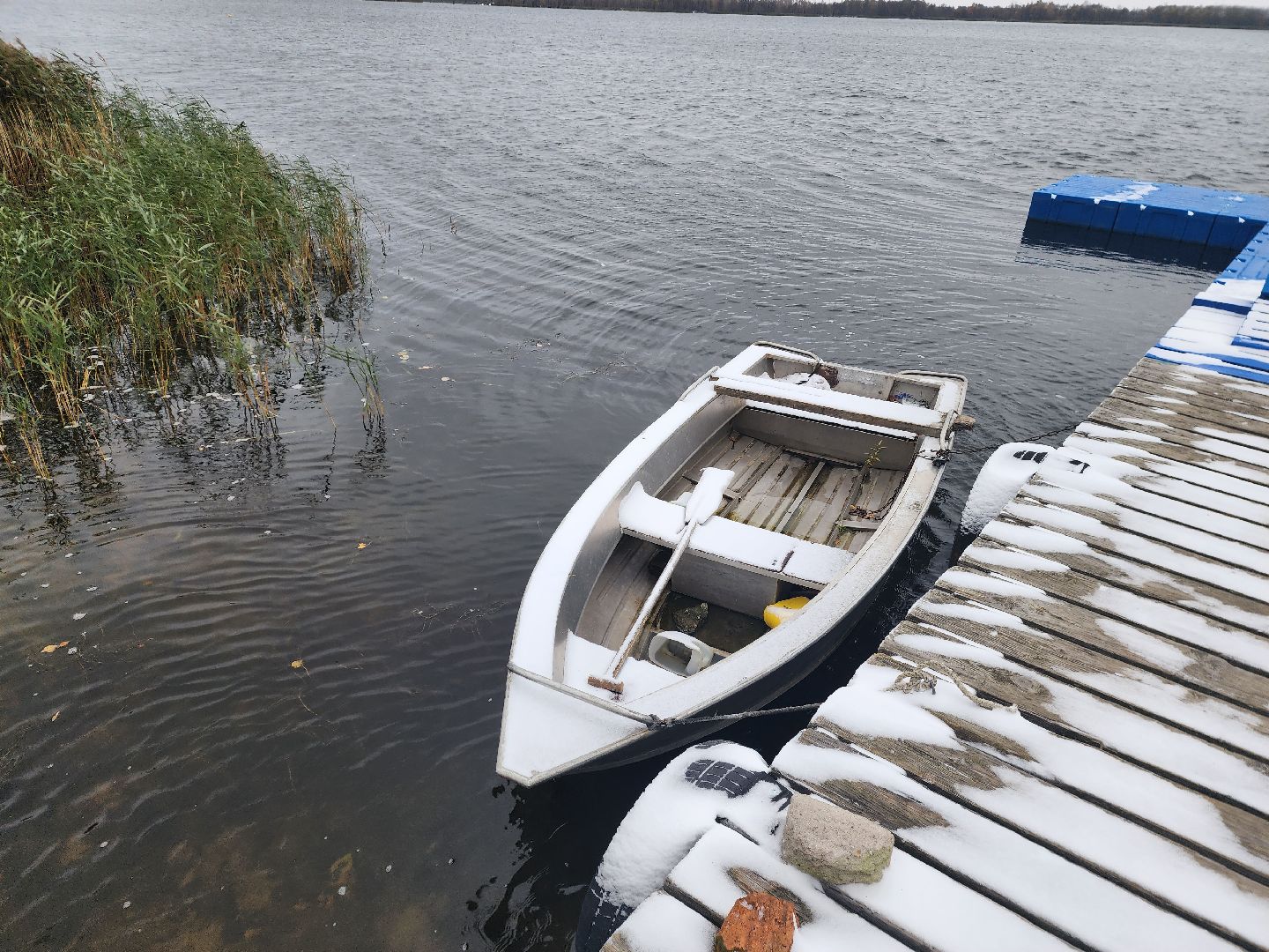 моржевание, закаливание, ЗОЖ, первый мороз, первый снег, выживший, ледяная вода, зимняя природа, зимнее озеро,