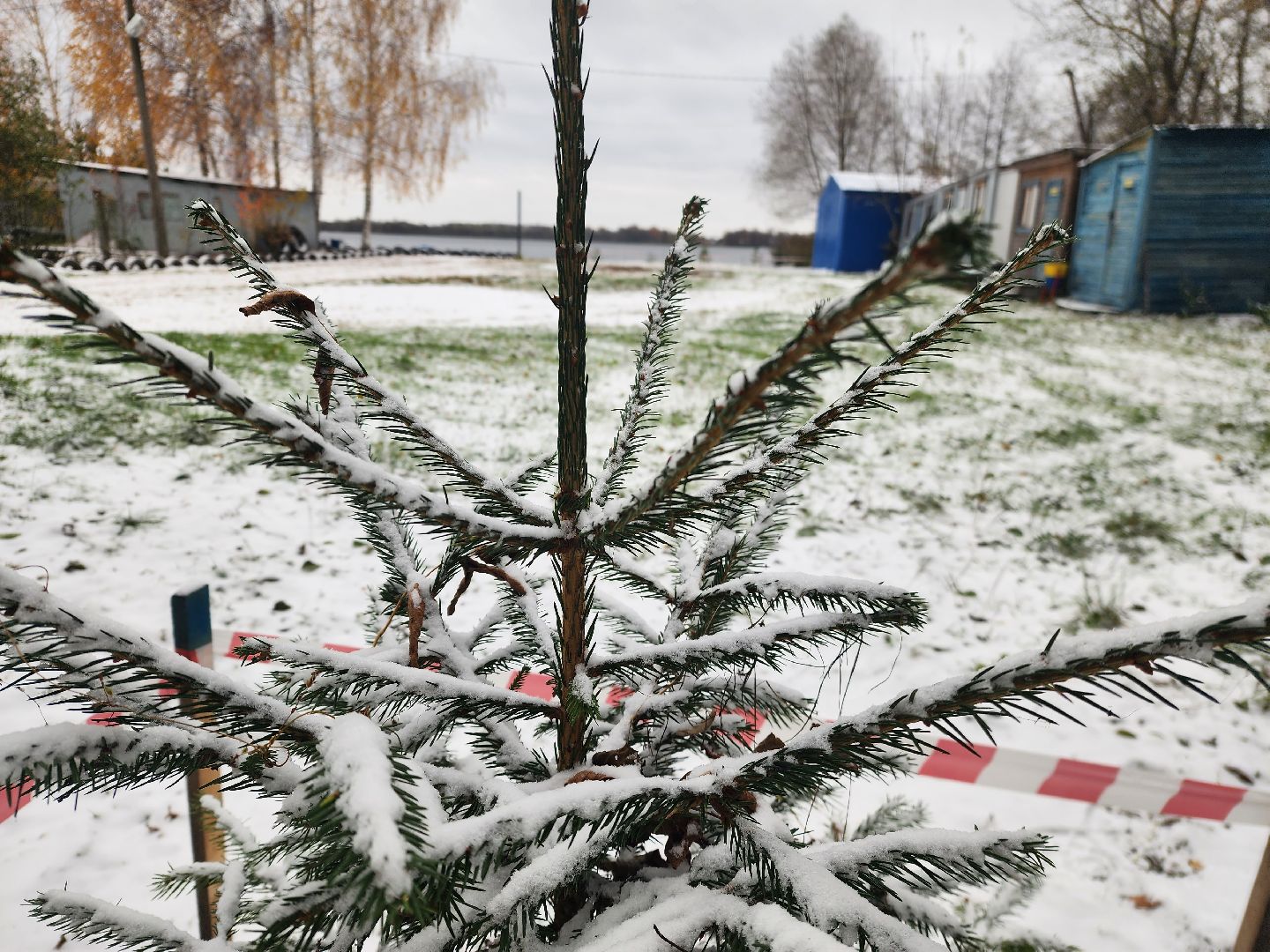 моржевание, закаливание, ЗОЖ, первый мороз, первый снег, выживший, ледяная вода, зимняя природа, зимнее озеро,