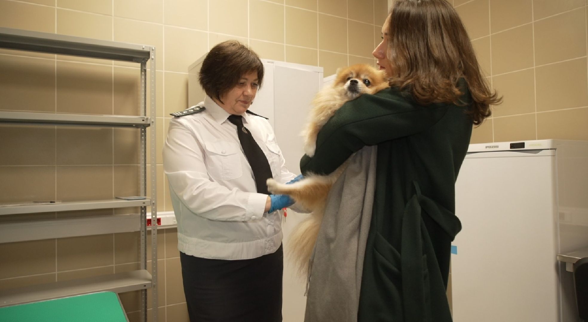 перелет с собакой, животные в самолете, аэропорт Домодедово,