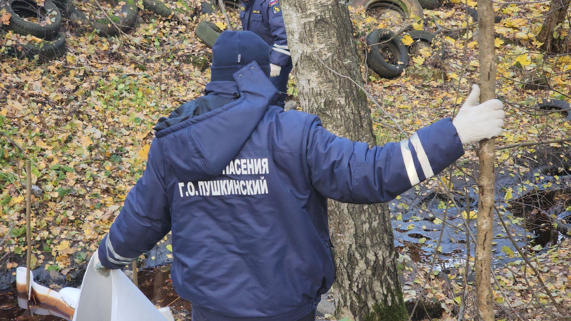 Городской округ Пушкинский, Пушкино, Кавезино, экология, общество, люди,