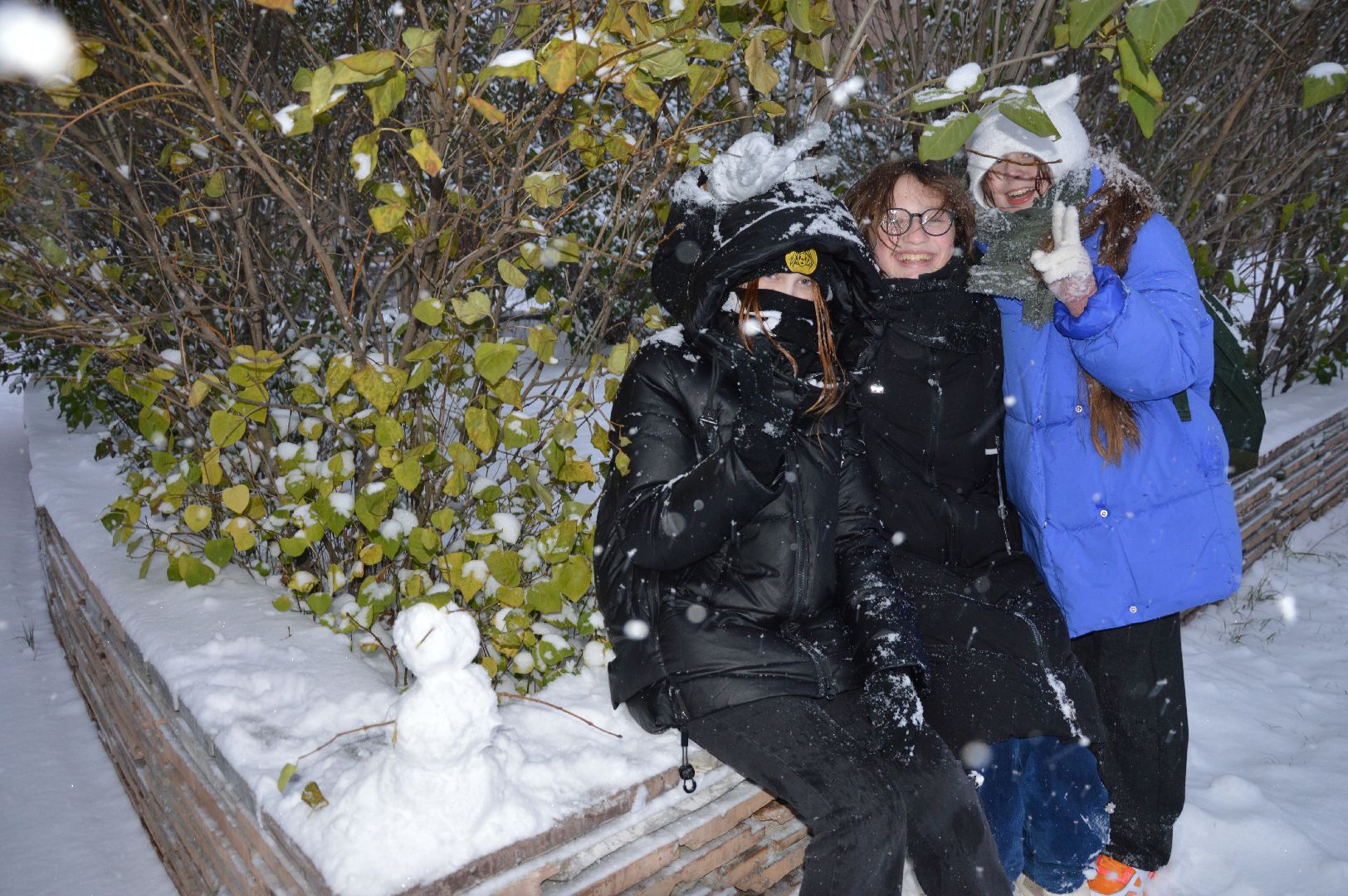 Снег, химки, подмосковье,