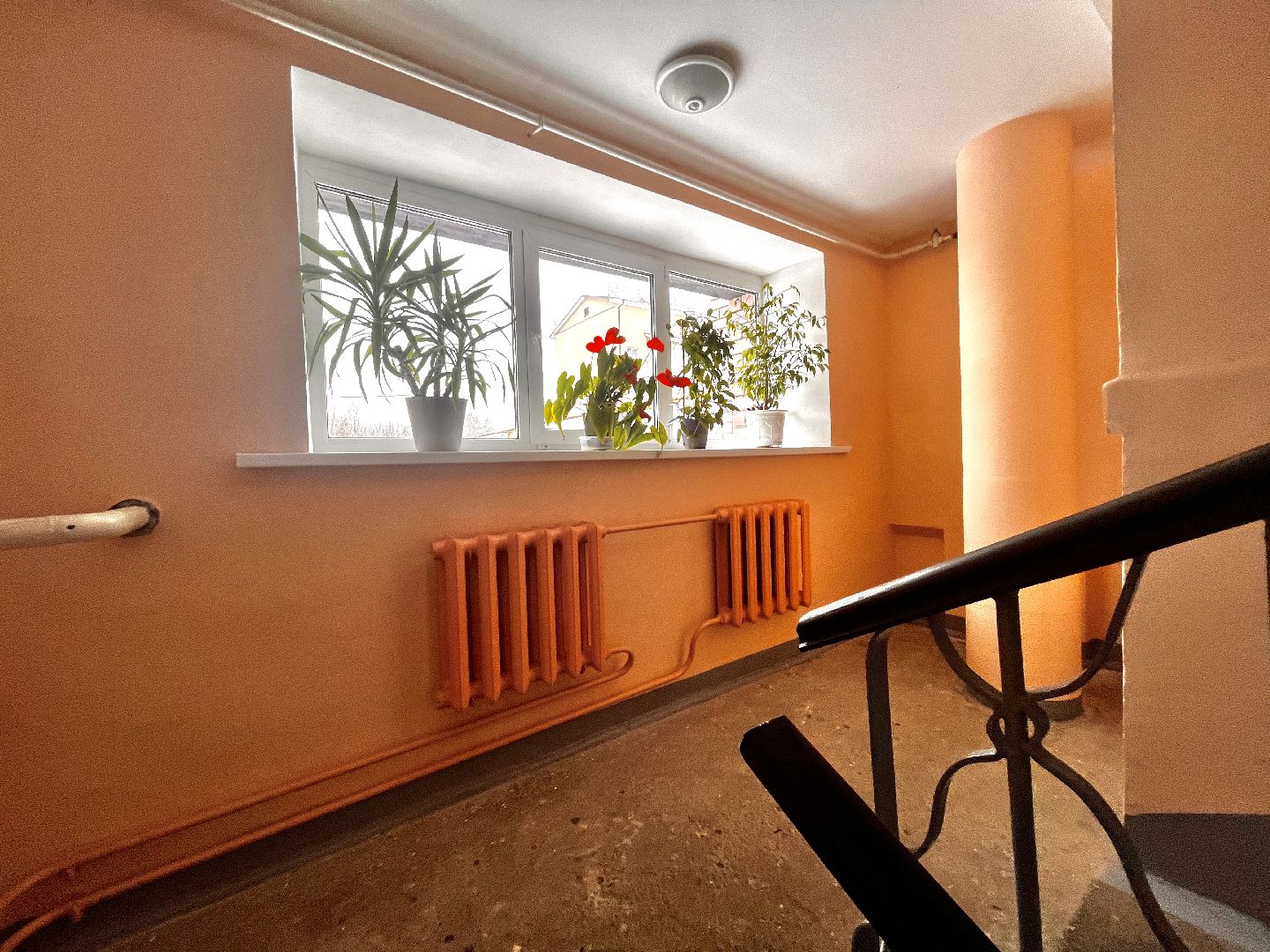 восход, московская область, подмосковье, губернатор, ремонт мкд, хоккей, спорт, подъезды,