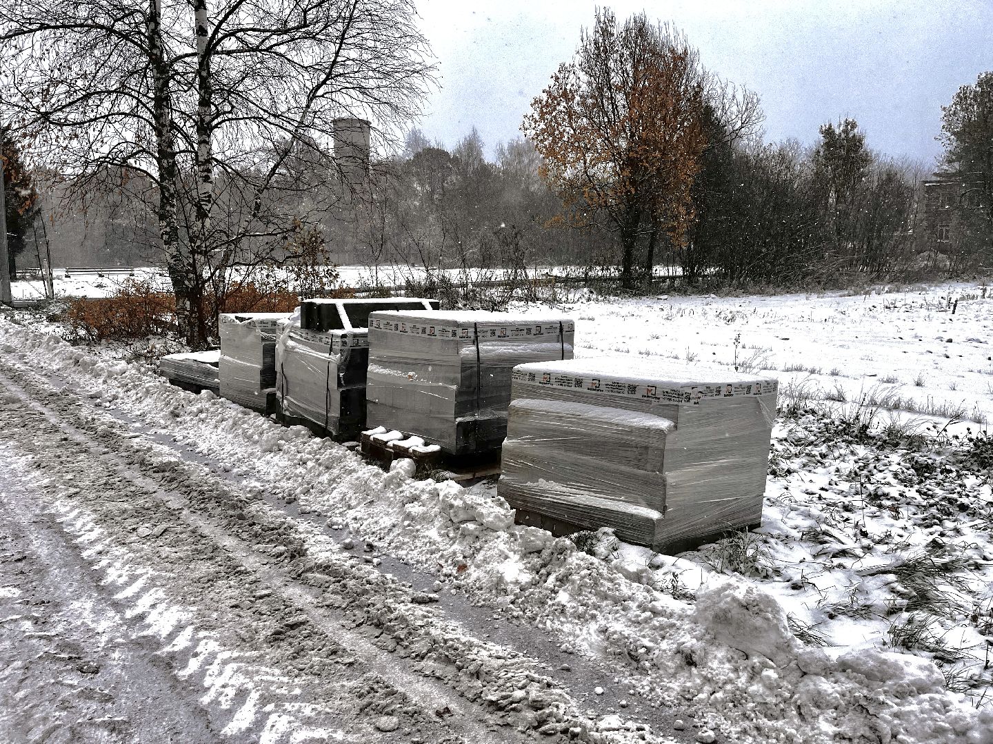 восход, московская область, подмосковье, губернатор, ремонт мкд, хоккей, спорт, подъезды,