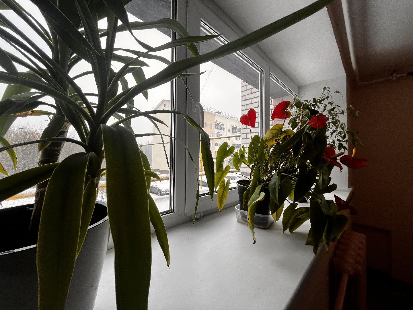 восход, московская область, подмосковье, губернатор, ремонт мкд, хоккей, спорт, подъезды,