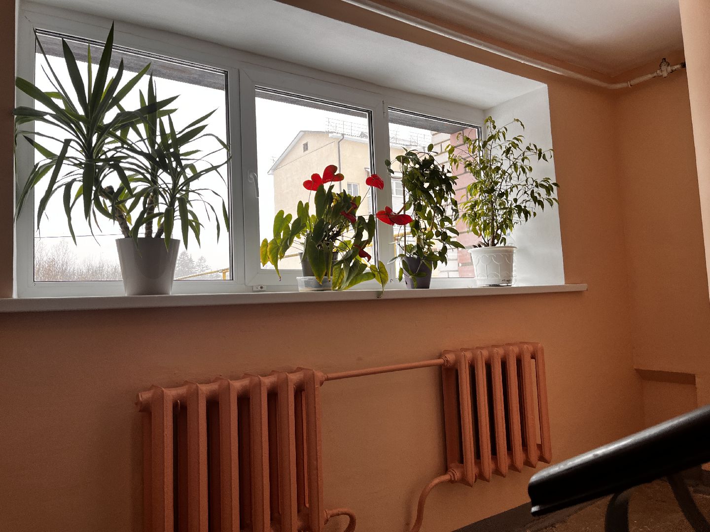 восход, московская область, подмосковье, губернатор, ремонт мкд, хоккей, спорт, подъезды,