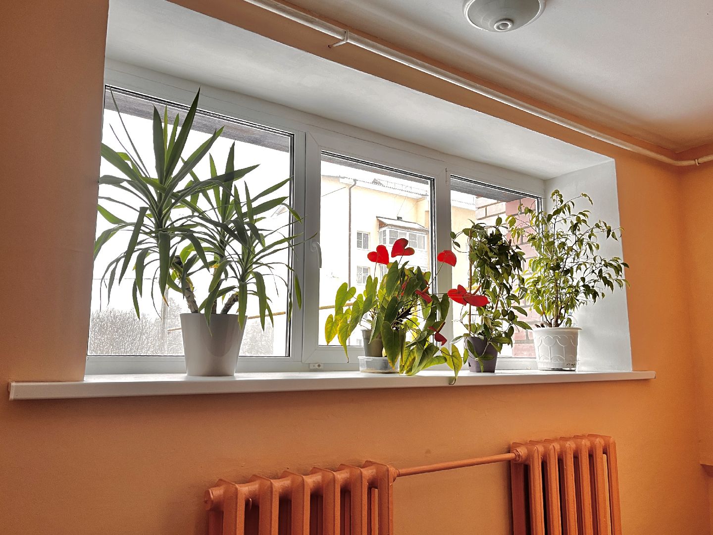 восход, московская область, подмосковье, губернатор, ремонт мкд, хоккей, спорт, подъезды,