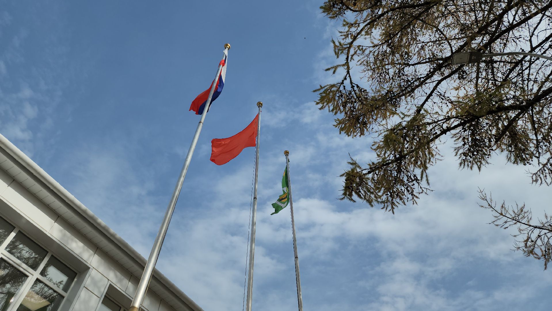 Пушкино, Городской округ Пушкинский, образование, красноармейск, царево, дети, общество, капремонт, школы,