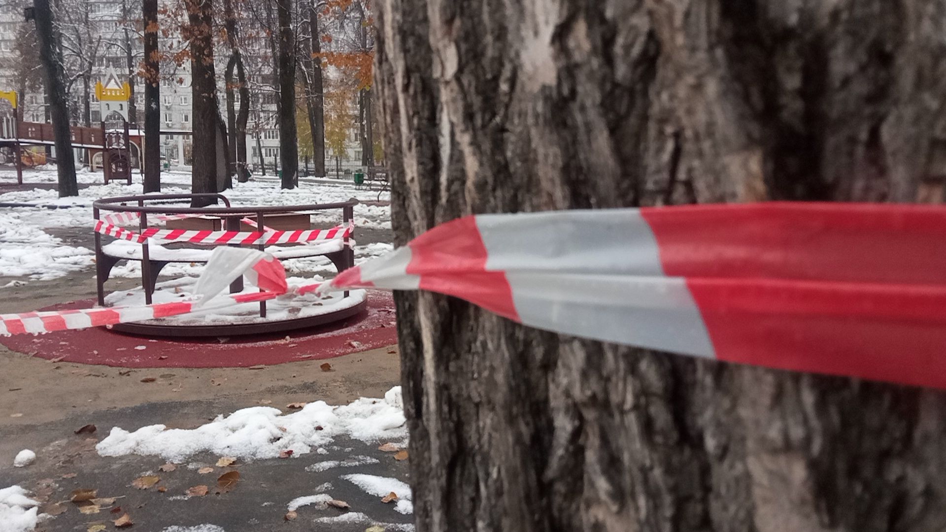 павловский посад, городского округ павловский посад, парк, благоуйстройство, дети, люди, жители,