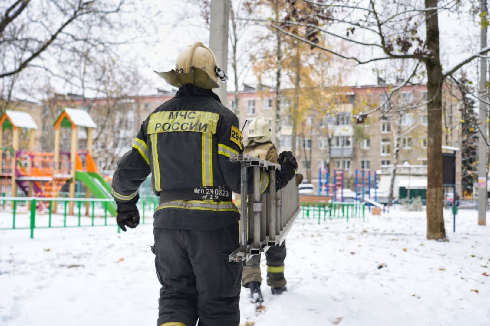 Сергиев Посад, Сергиево-Посадский городской округ, Сова, Спасатели, Общество, Жители, Птицы, Спасение,