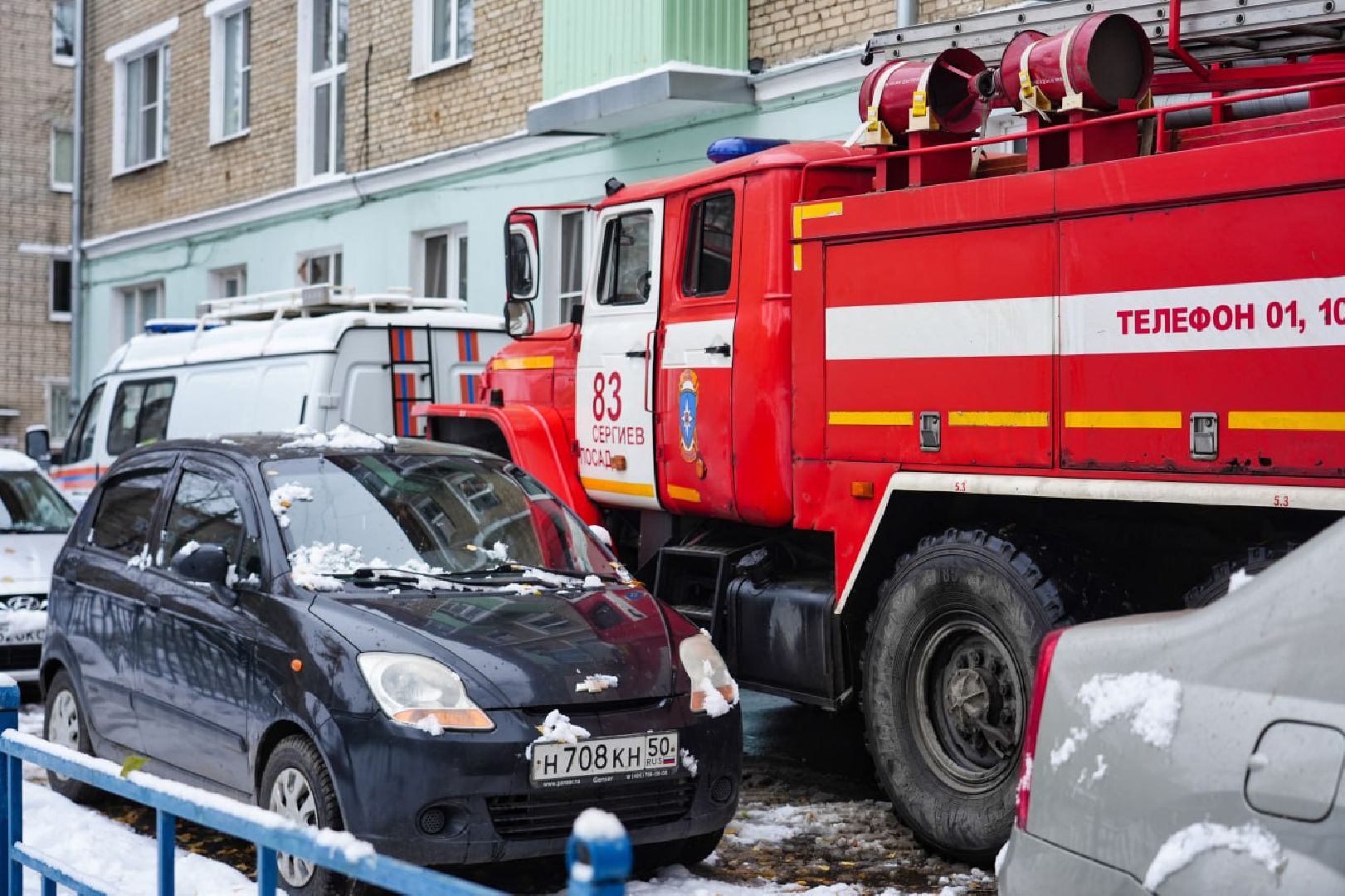 Сергиев Посад, Сергиево-Посадский городской округ, Сова, Спасатели, Общество, Жители, Птицы, Спасение,