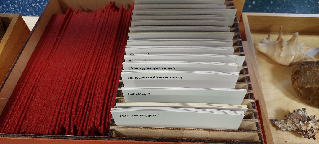 Пущино Образование