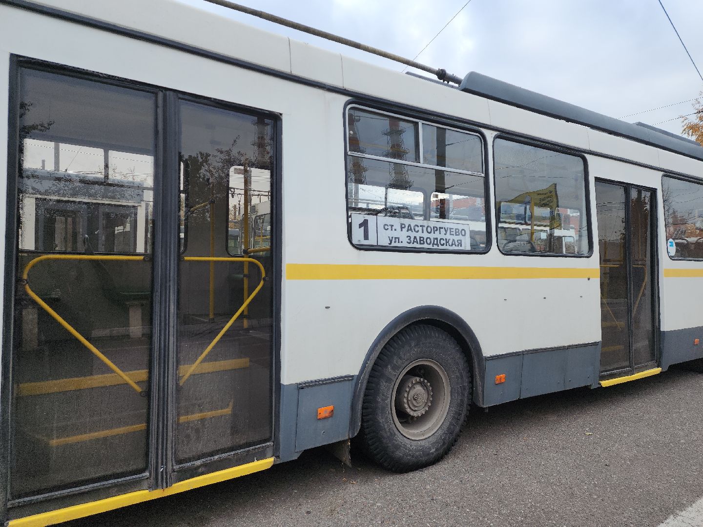 троллейбусный парк, видное, водители, семья, профессиональный праздник,