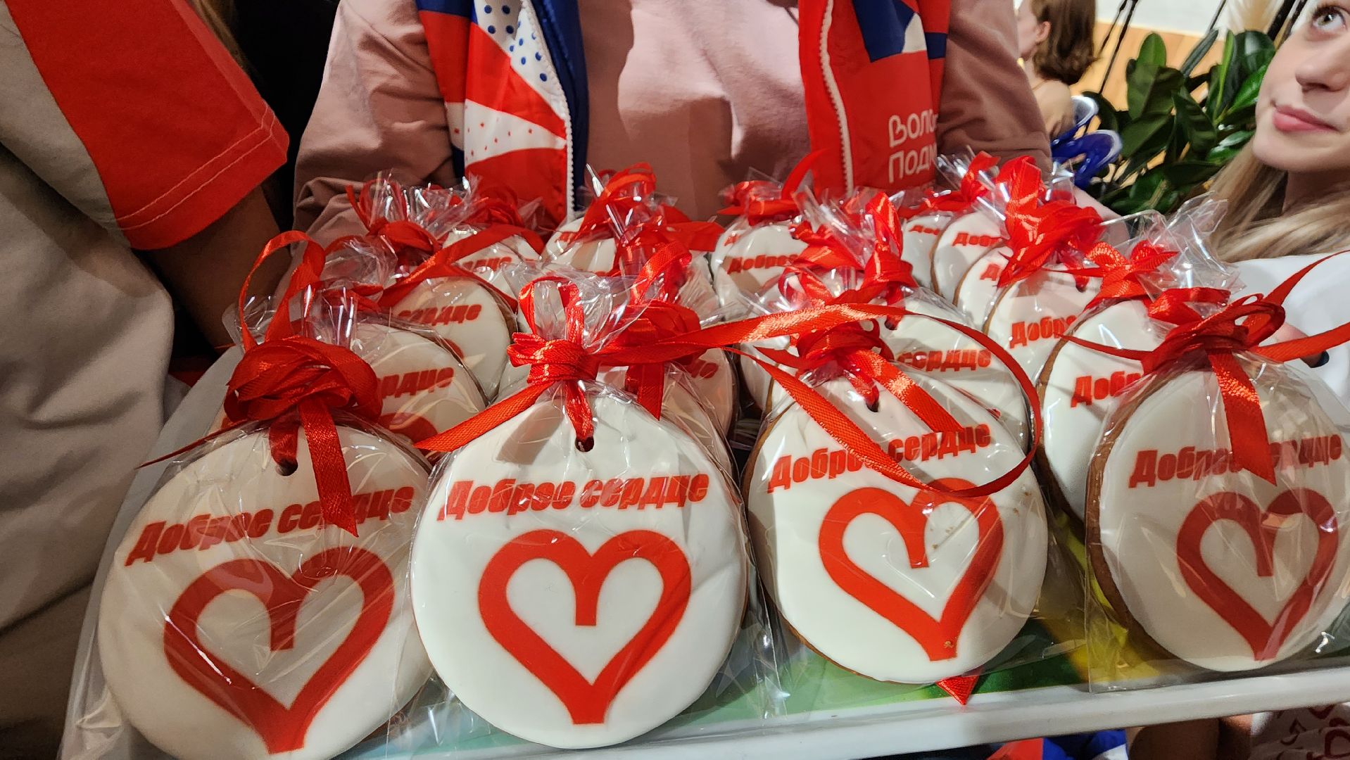 ЦМИ, Протвино, молодежный центр, волонтеры, открытие,