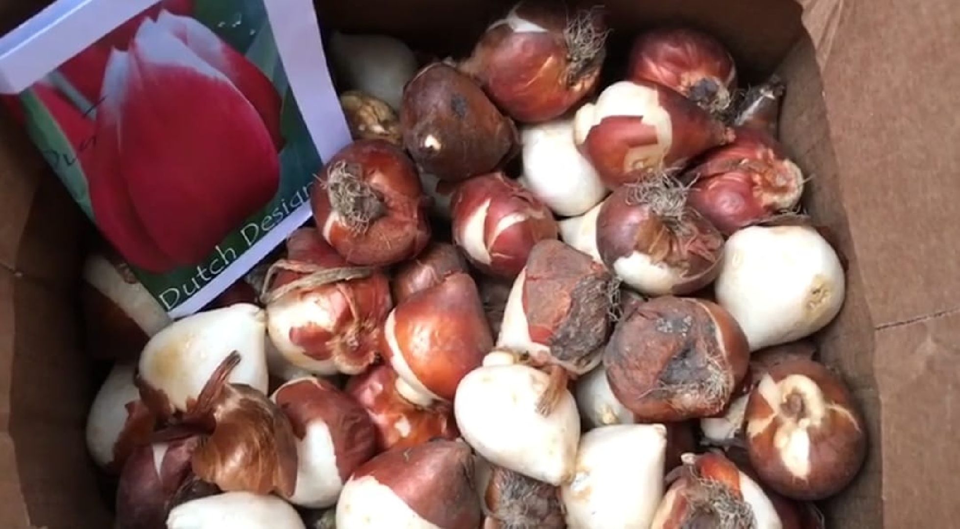 Экопионеры, Детское волонтерское экодвижение, Зеленый патруль, дети с овз, наро-фоминск,