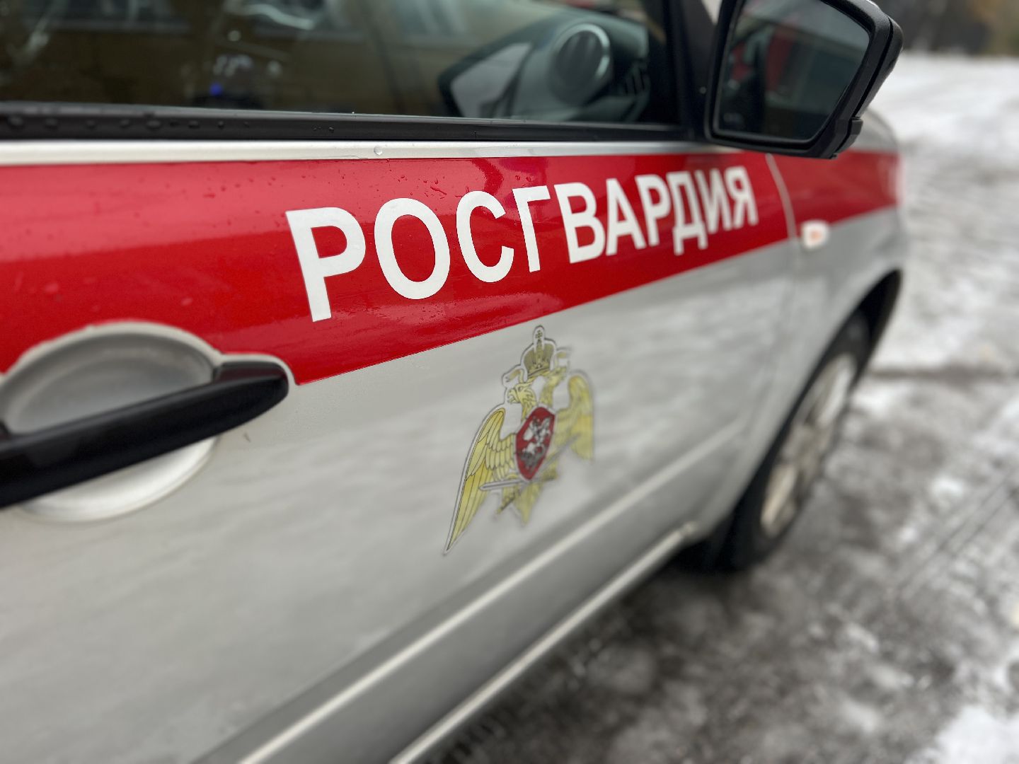 Солнечногорск, вневедомственная охрана, праздник, росгвардия, Охрана,