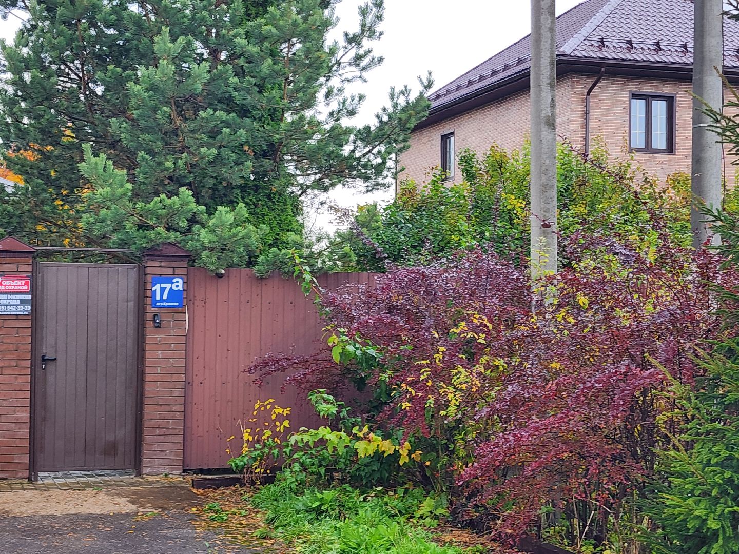 убийство, соседи,