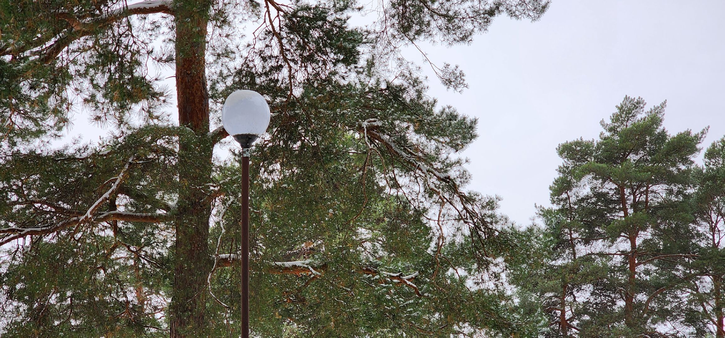 Коломна, Озеры, безопасный регион, парк, общественное обсуждение,