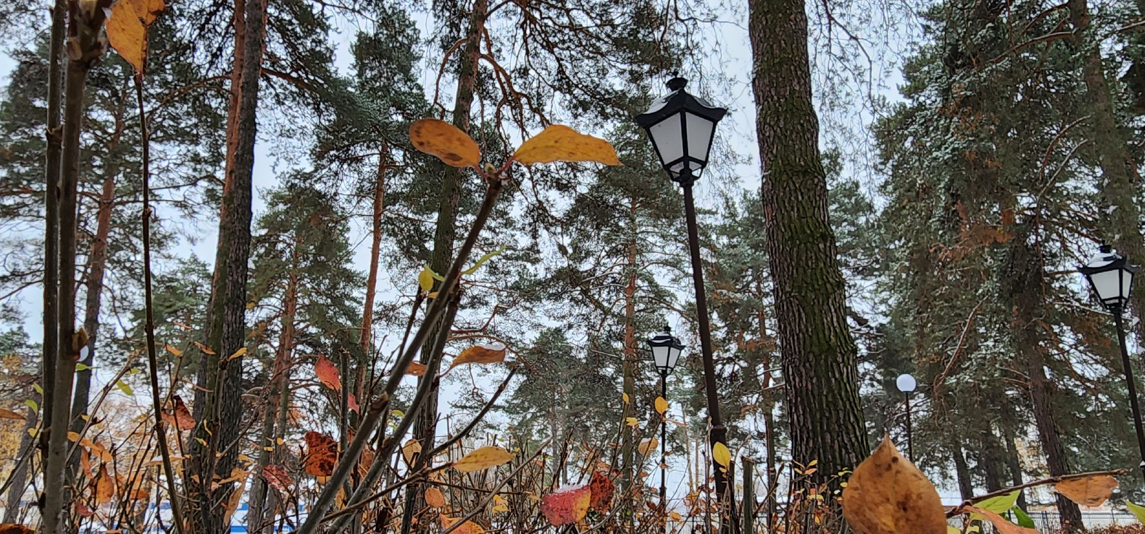 Коломна, Озеры, безопасный регион, парк, общественное обсуждение,