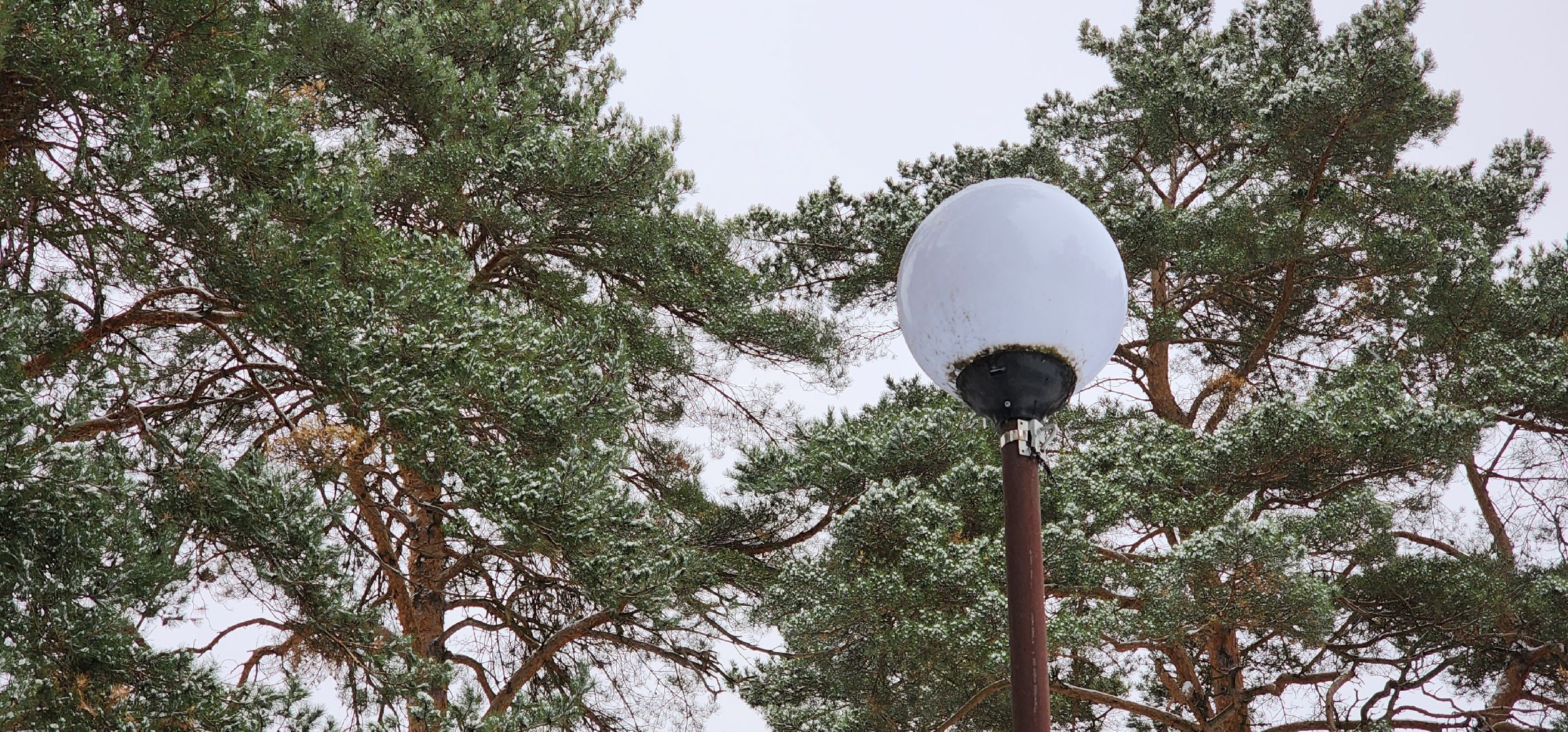 Коломна, Озеры, безопасный регион, парк, общественное обсуждение,
