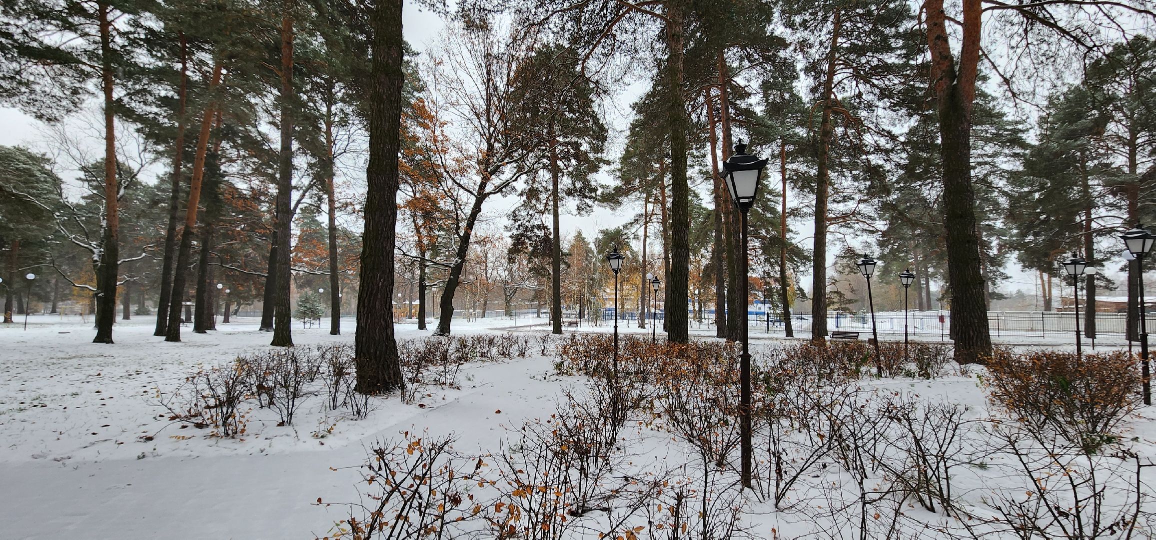 Коломна, Озеры, безопасный регион, парк, общественное обсуждение,
