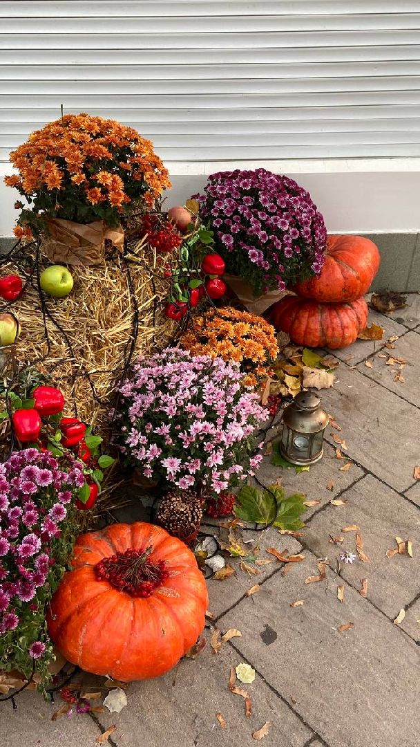 Еда, Химки, подмосковье,