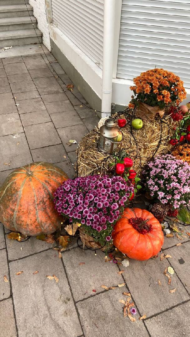 Еда, Химки, подмосковье,