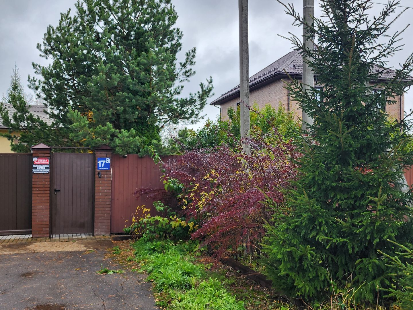 убийство, соседи,