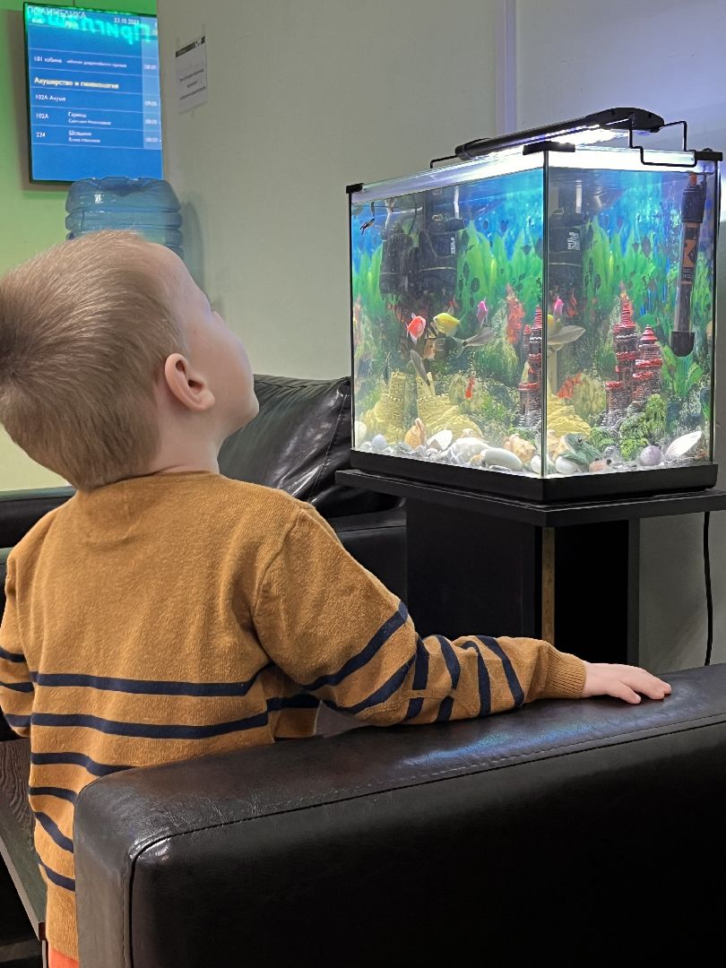 поликлиника перезагрузка, московская область, подмосковье, здравоохранение, здравоохранение подмосковья, руза, рузский городской округ,