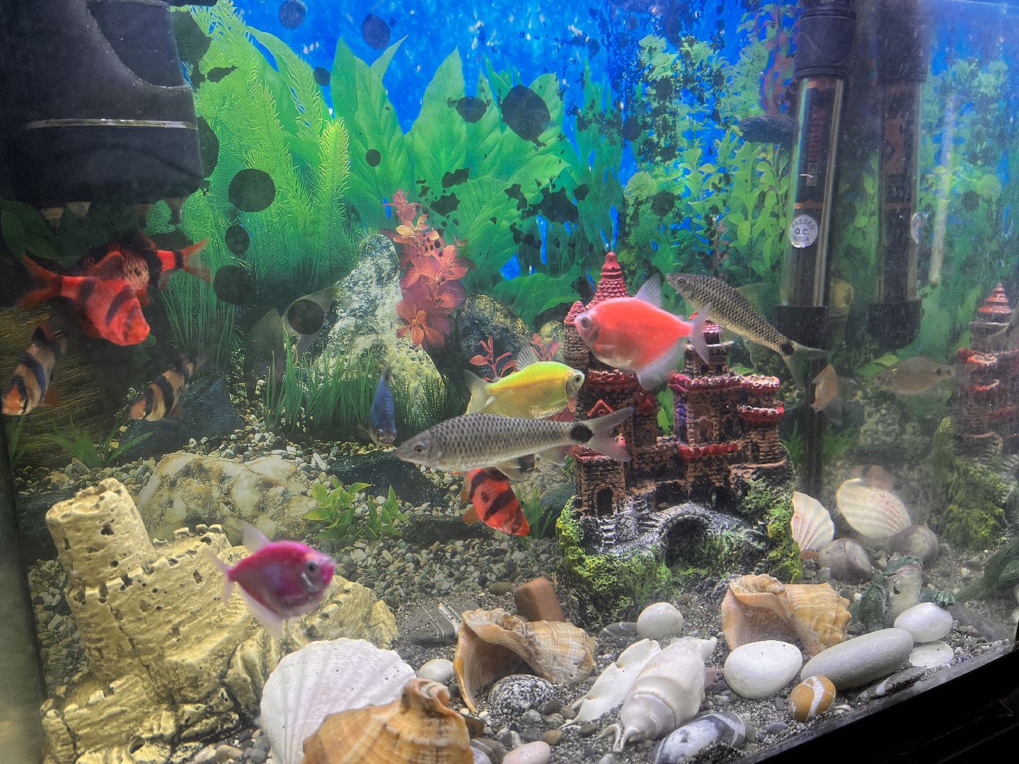 поликлиника перезагрузка, московская область, подмосковье, здравоохранение, здравоохранение подмосковья, руза, рузский городской округ,