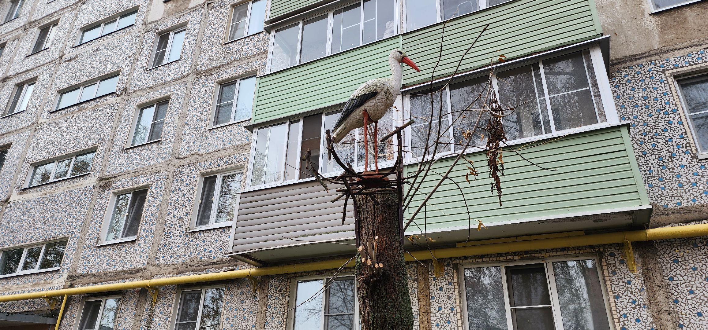 Коломна, лучший двор, конкурс,