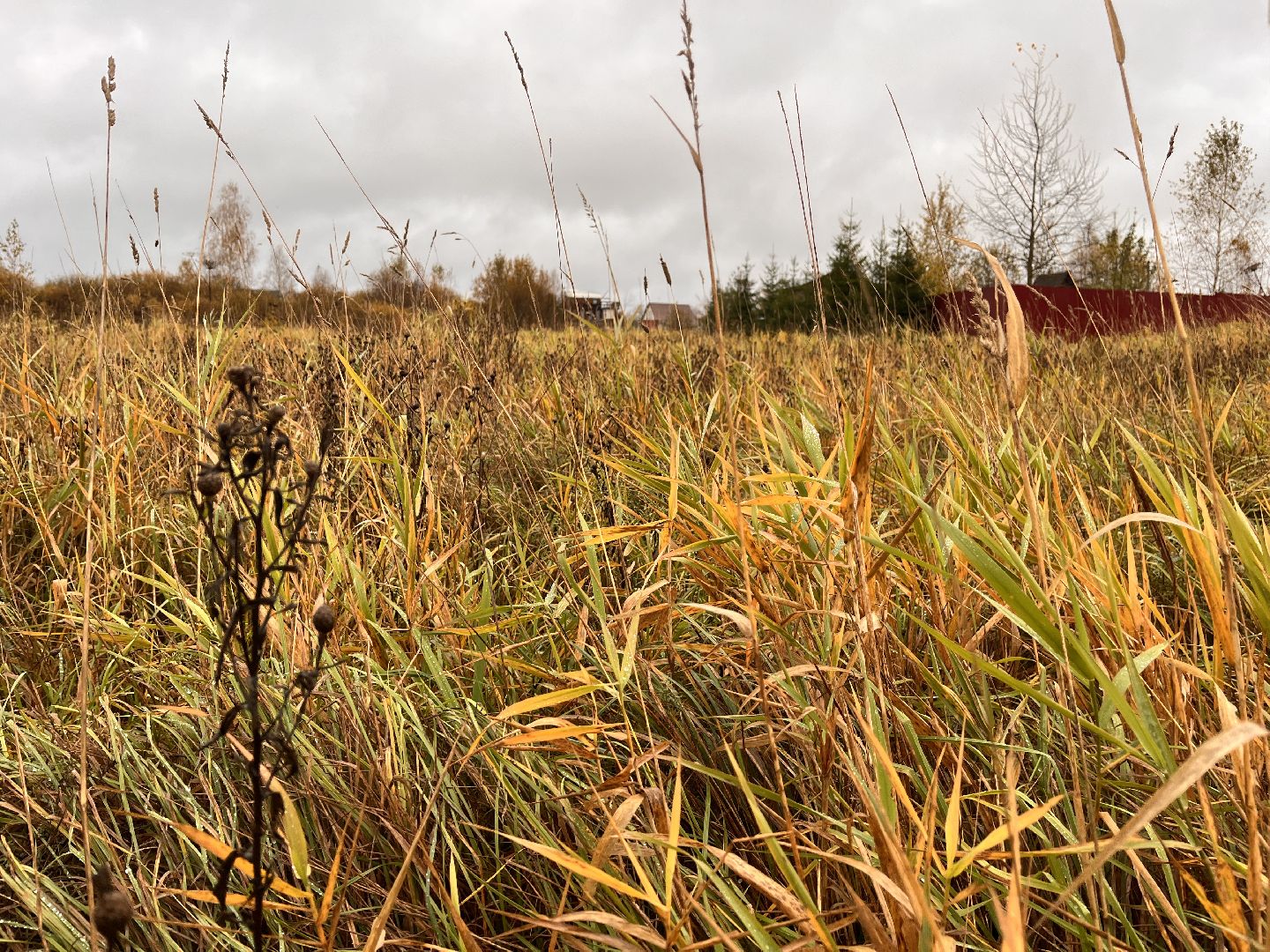 многодетная семья, руза, рузский городской округ, московская область, подмосковье, земельный участок, строительство,