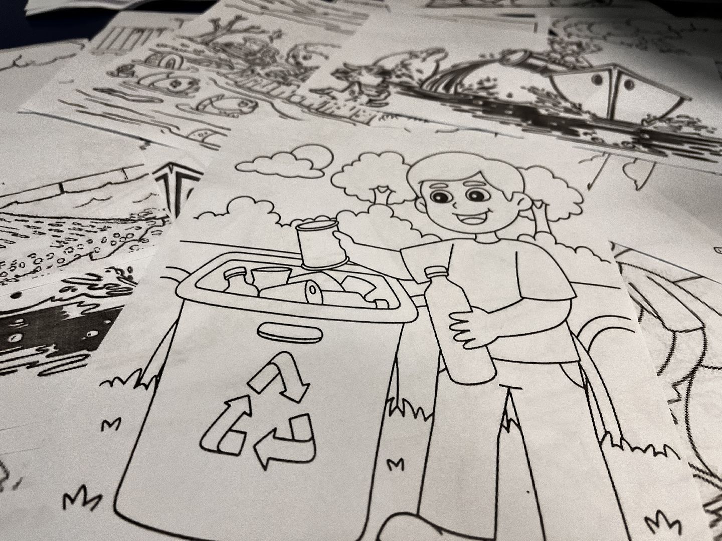 экология, школьное лесничество, руза, рузский городской округ, образование подмосковья, московская область, подмосковье,