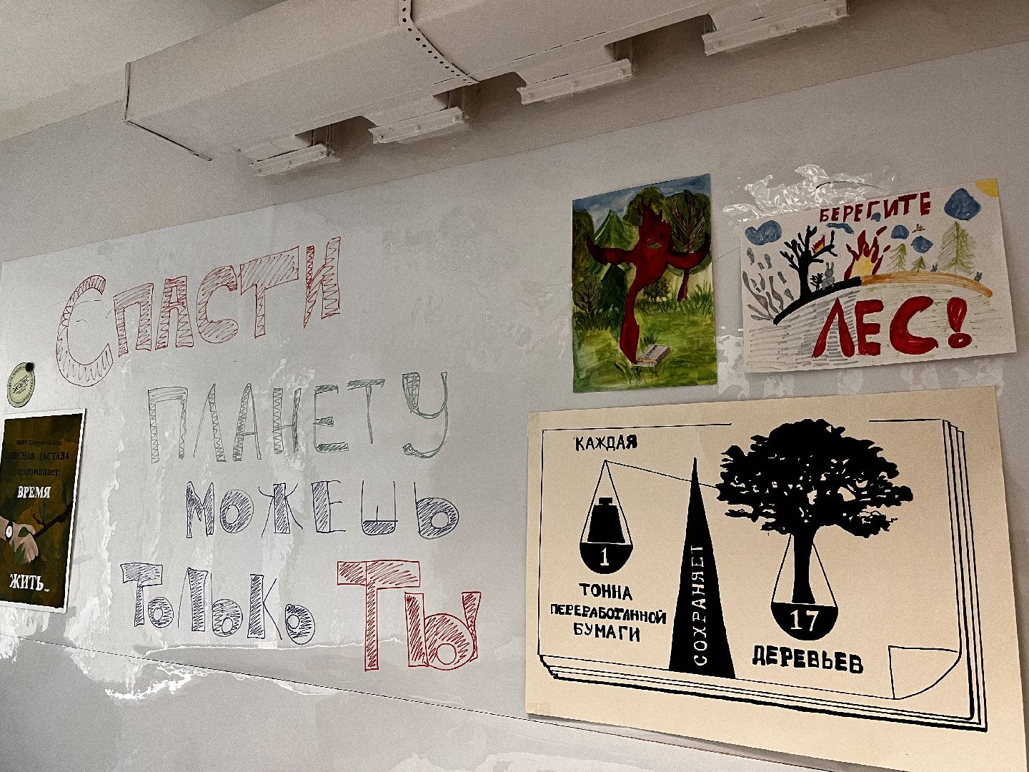 экология, школьное лесничество, руза, рузский городской округ, образование подмосковья, московская область, подмосковье,