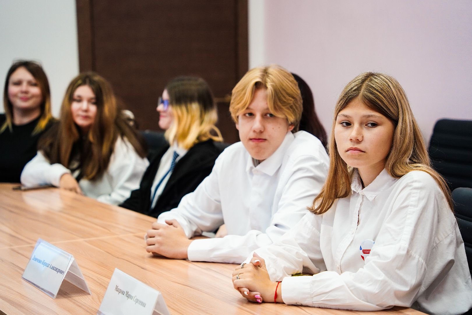 Большая Шатура, Молодежный парламент, совет депутатов, молдежь, активная молодежь,